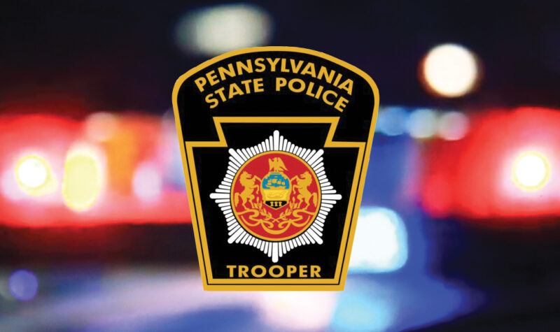 Fugitive’s attempts to elude capture fail after allegedly hiding in the woods